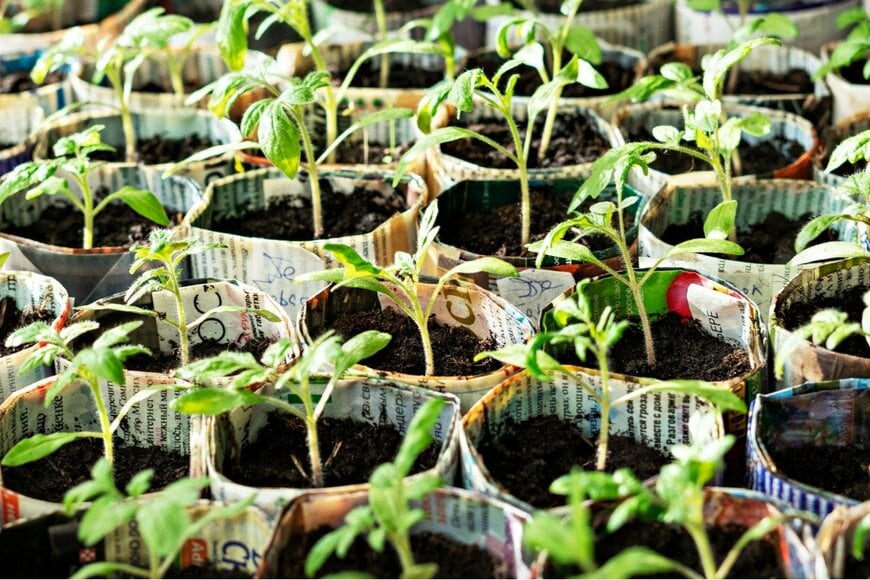 Elena Goosen/istockphoto.com