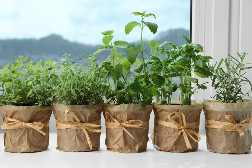 New Africa/shutterstock.com