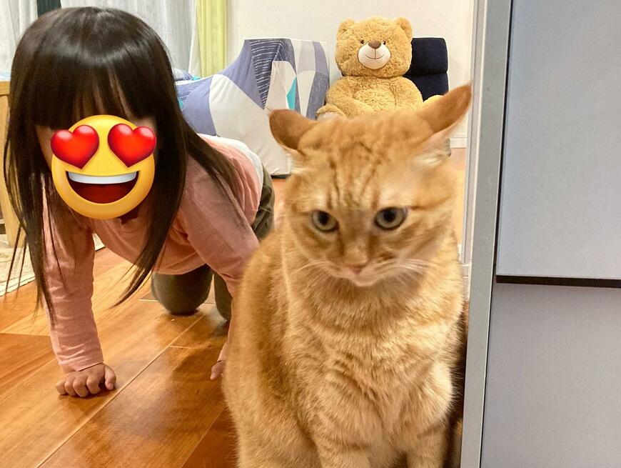 出所：@kagisuzu0531