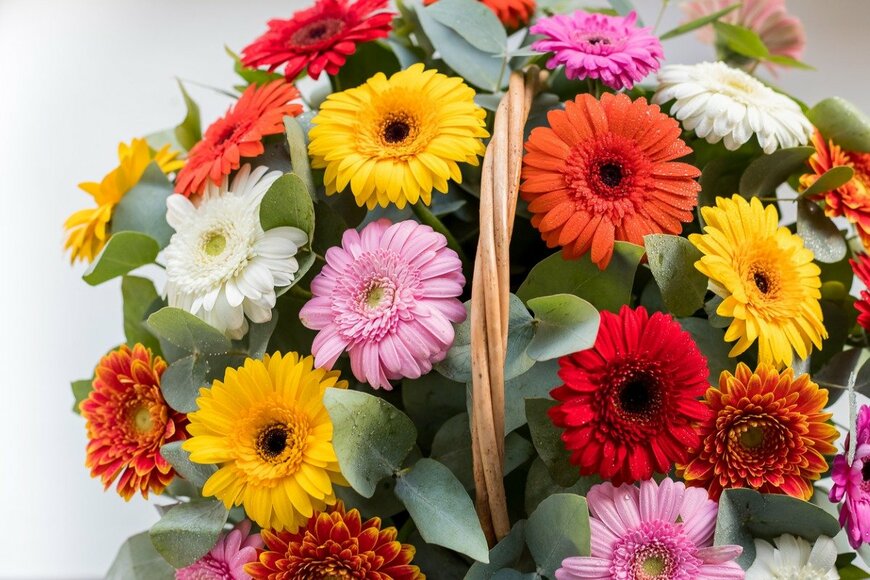 undefined undefined/istockphoto.com