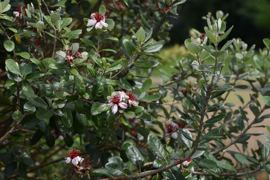 undefined undefined/istockphoto.com