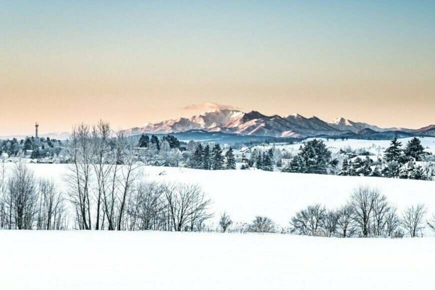 北海道のドライブルート撮影された光景に思わず二度見　「ものすごい数ですね」「これは凄い」と話題