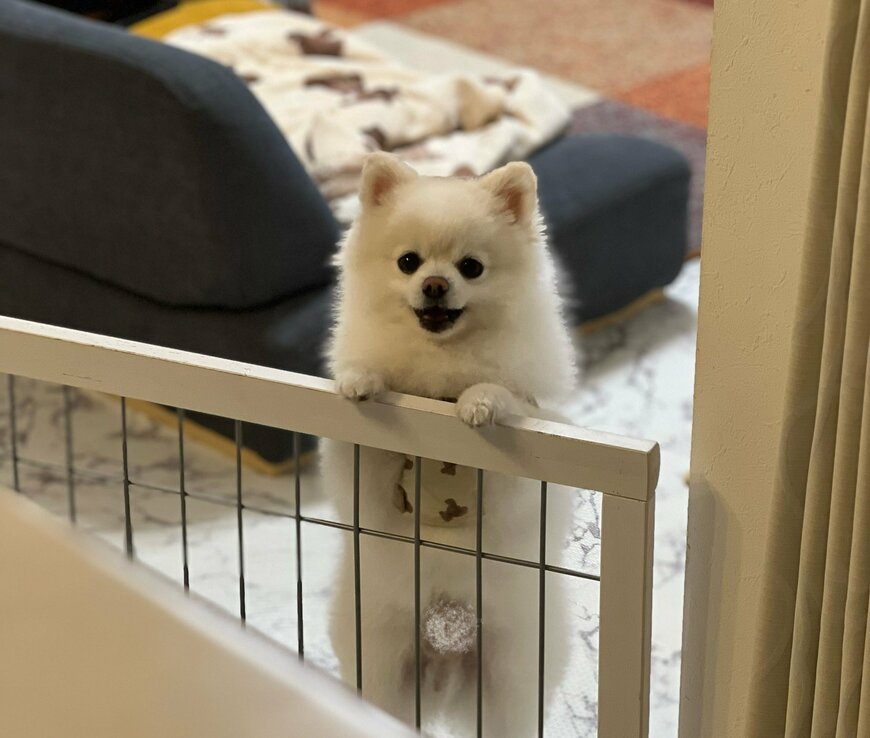 出所：@boku_ponchan