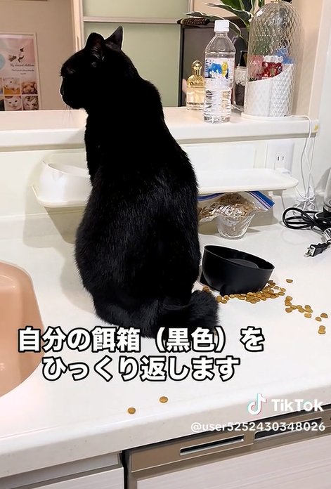 出所：@user5252430348026