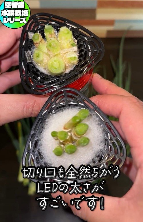 出所：mikanbo_ya19_87