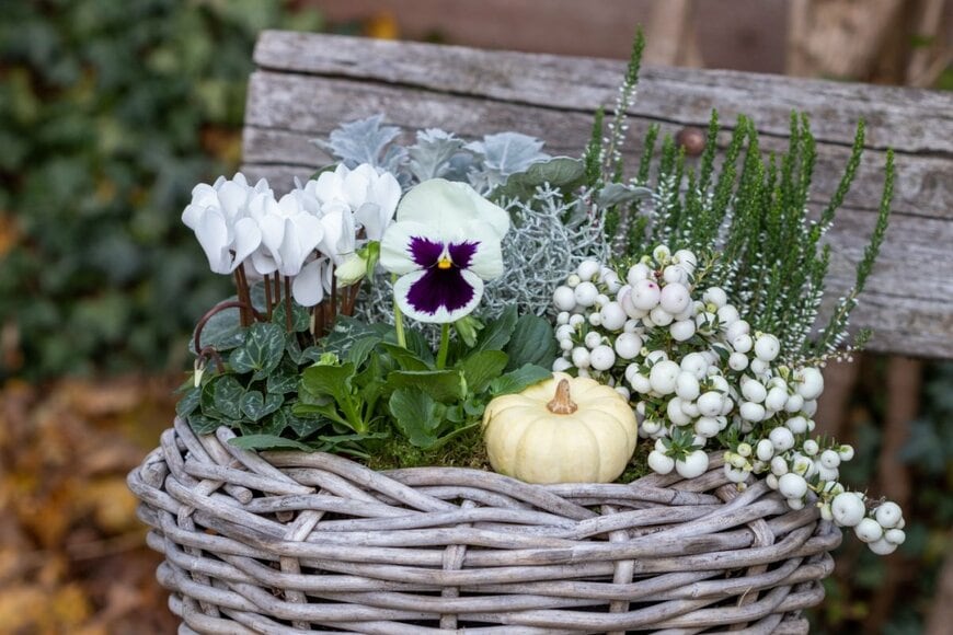 Natalia Greeske/shutterstock.com