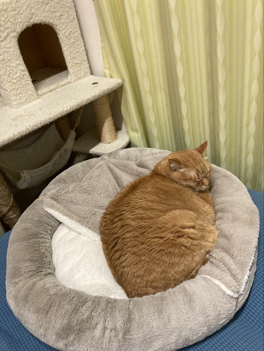 出所：@kagisuzu0531