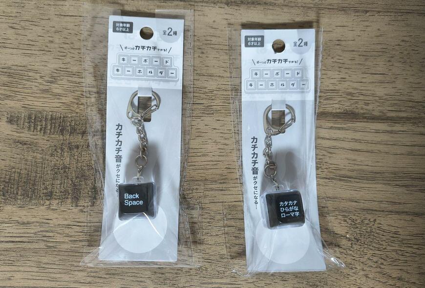 筆者撮影（キャンドゥ、キーボードキーホルダー）