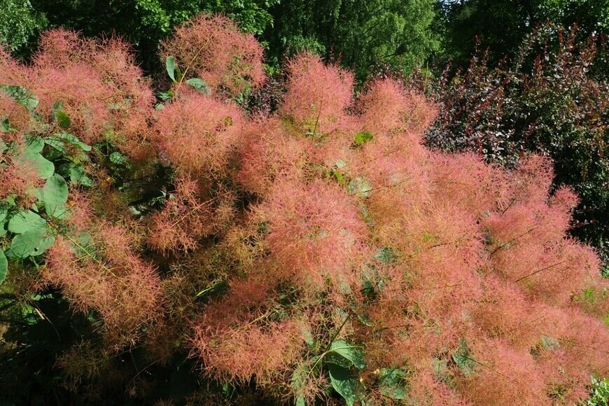 Iuliia Petrovskaia/istockphoto.com