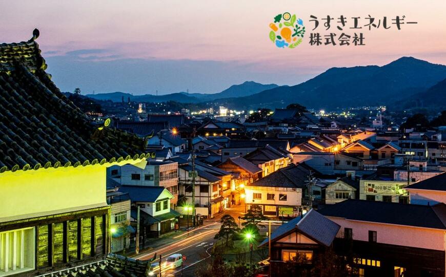 出所：ふるさとチョイス 【九州限定】うすきの地域電力【3600kWh】