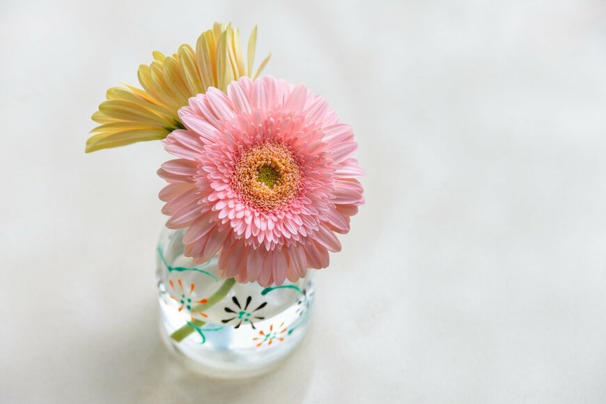 Pratchaya.Lee/shutterstock.com