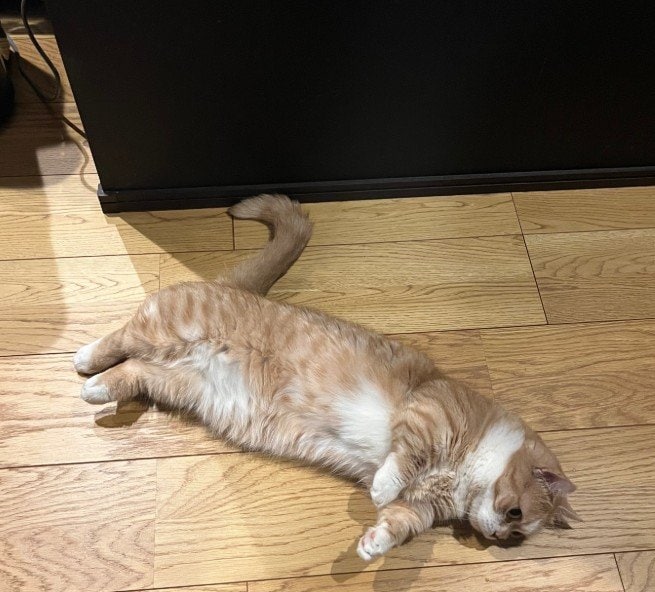 虎太郎くんの手足に注目！かわいすぎます！