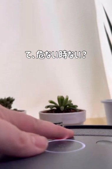 変身前の床置きされた植物