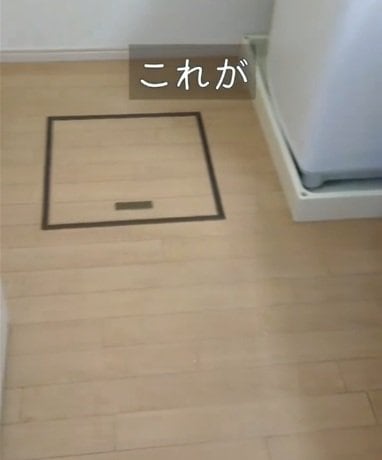 投稿の画像