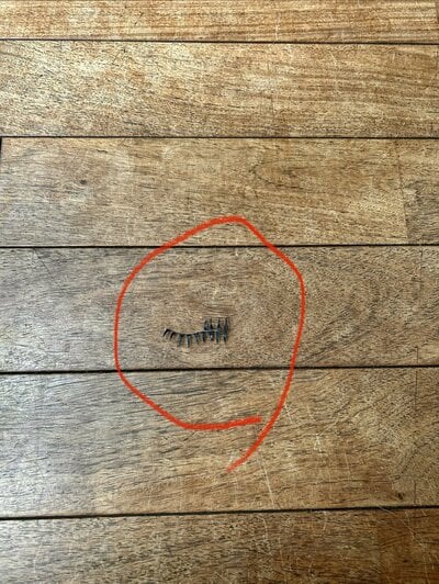 床に発見したつけまつげ