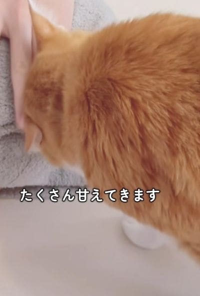 投稿の画像