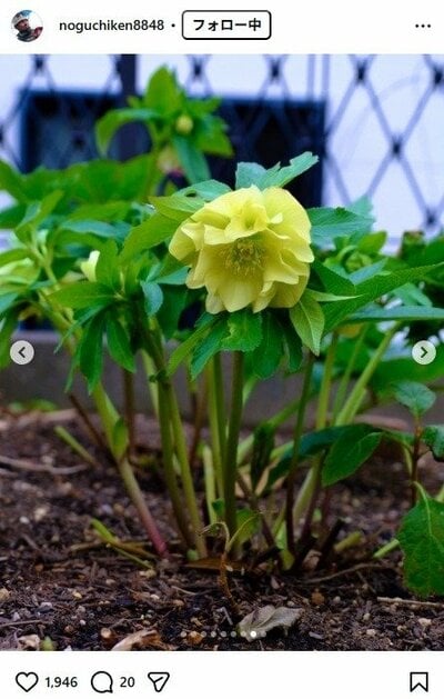 野口健のInstagram投稿