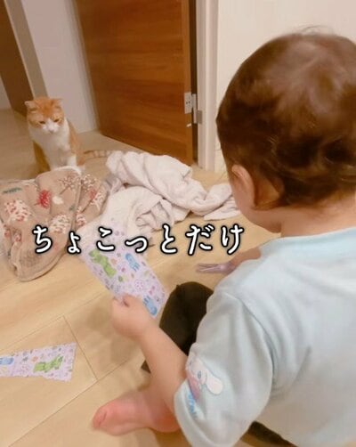 投稿の画像