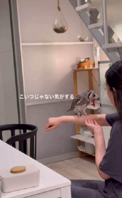 投稿動画のワンシーン