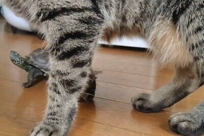 方向転換したら、小雪ちゃんが動いた！