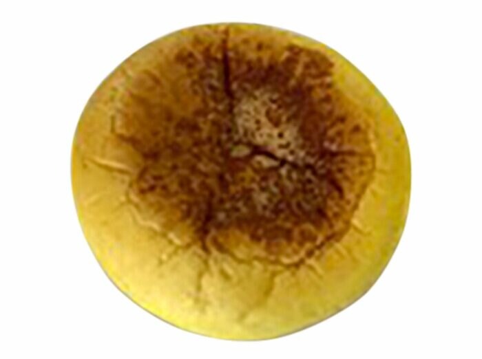 セブン-イレブンの新商品その1