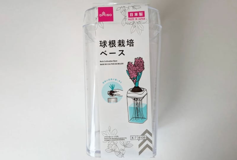ダイソー　球根栽培ベース