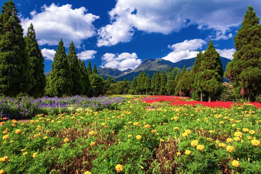 w.aoki/shutterstock.com