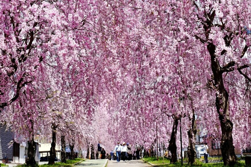 jirobkk/shutterstock