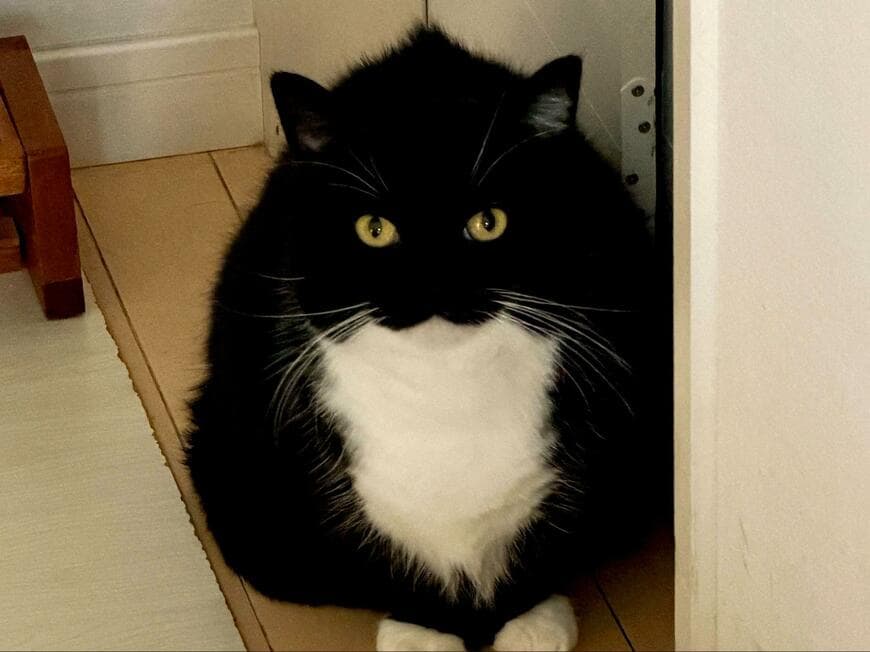 出所：＠unicouniuni3