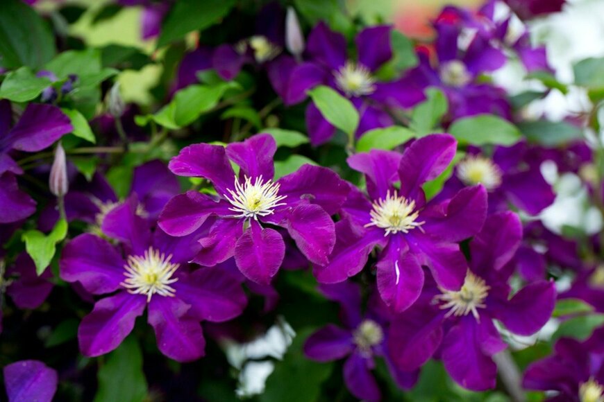 Diana Taliun/istockphoto.com