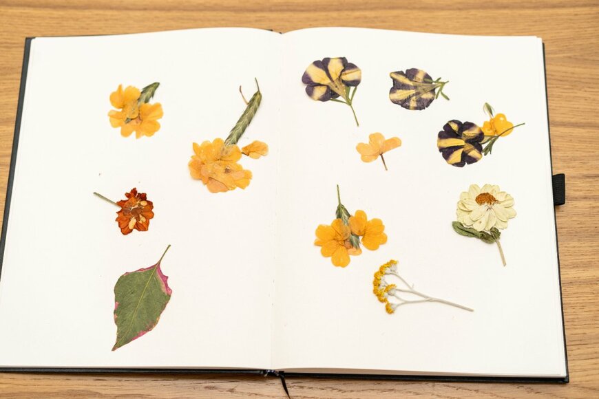 Inna Reznik/shutterstock.com