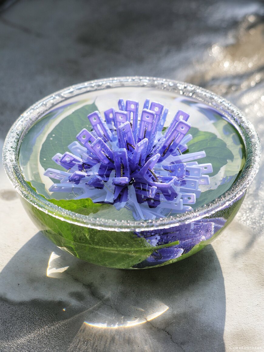 画像出所：@okaphotoart