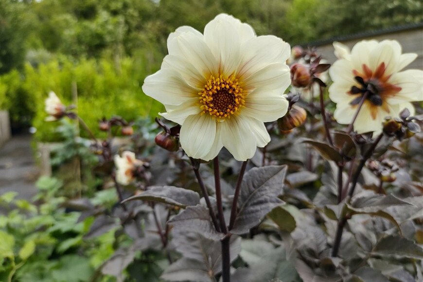 John Caley/istockphoto.com