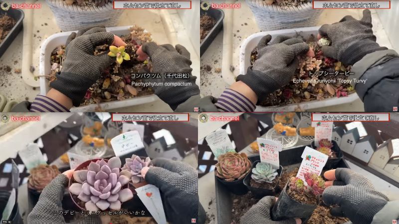 出所：@ba-channel