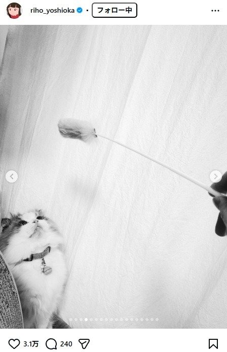 出所：吉岡里帆のInstagram（＠riho_yoshioka）　参照日：2026年2月24日