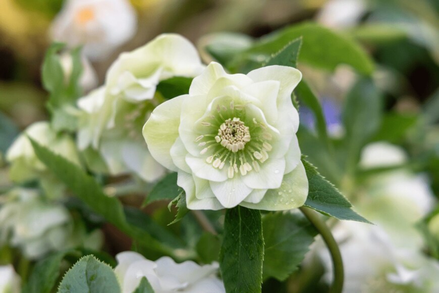 Olga Seifutdinova/istockphoto.com