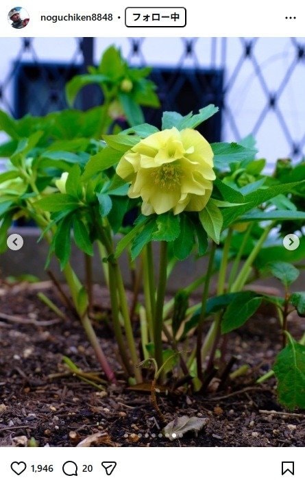 出所：野口健のInstagram（＠noguchiken8848） 参照日：2026年3月19日