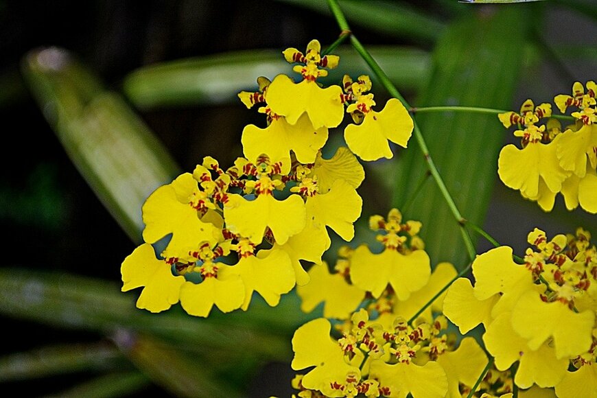 Hardt_E/istockphoto.com