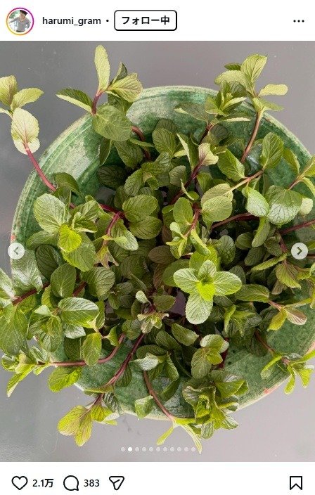 出所：栗原はるみのInstagram（＠harumi_gram）　参照日：2025年3月26日