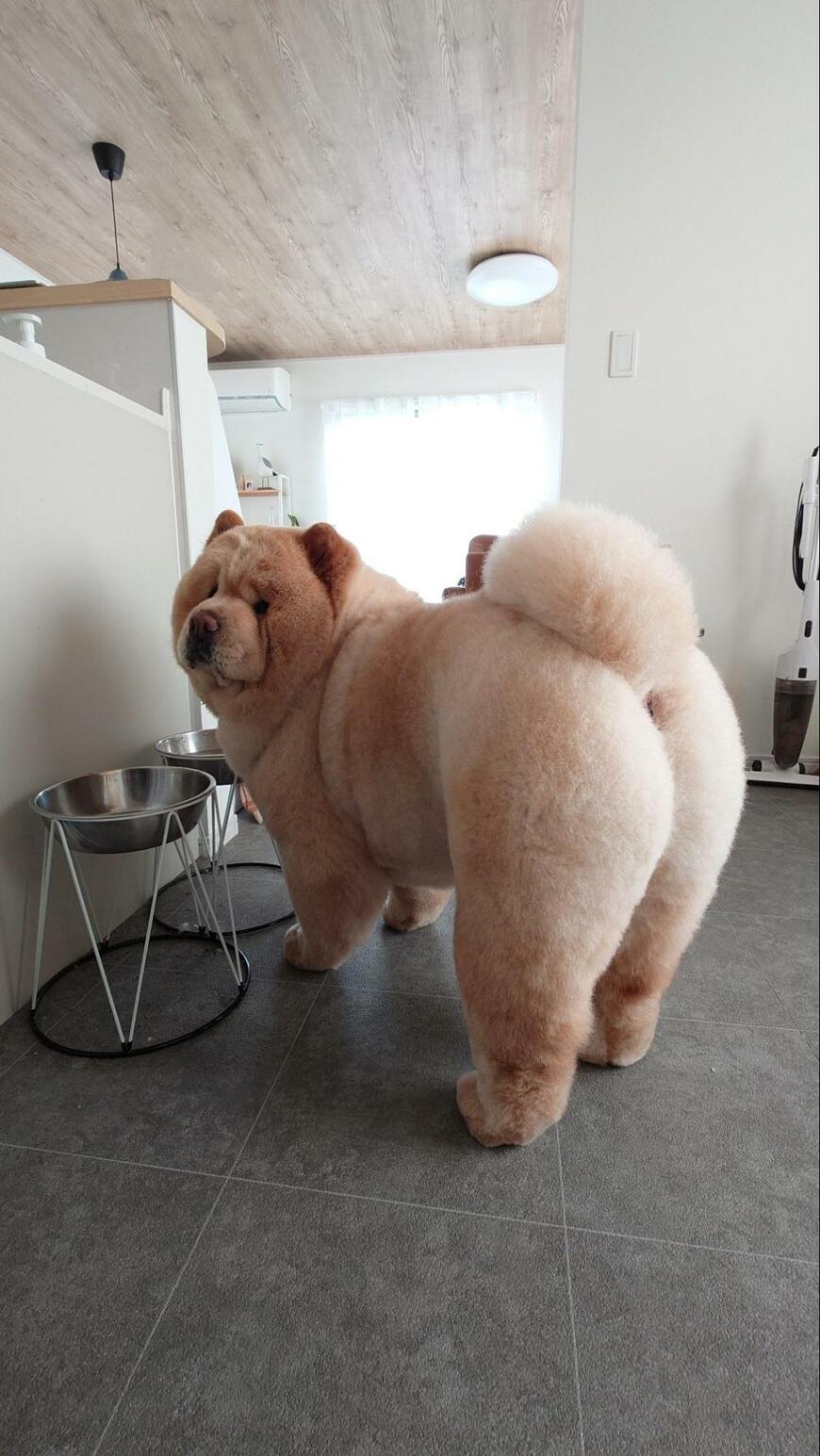 出所：@kurizo_chow