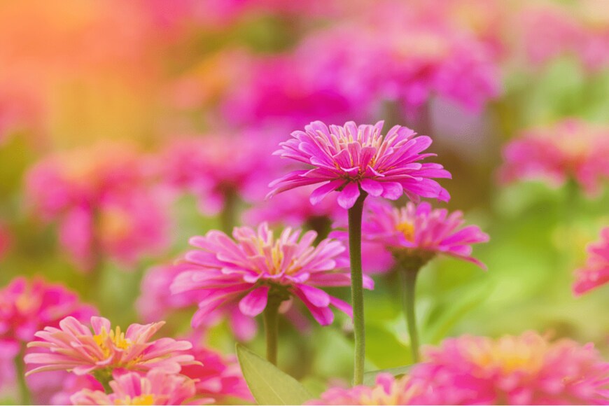 tanoochai/istockphoto.com