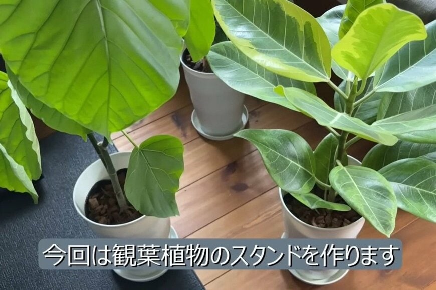 【端材DIY】手持ちの端材で作る雑貨屋さん風のプランタースタンド　置くだけで映えるお部屋に大変身