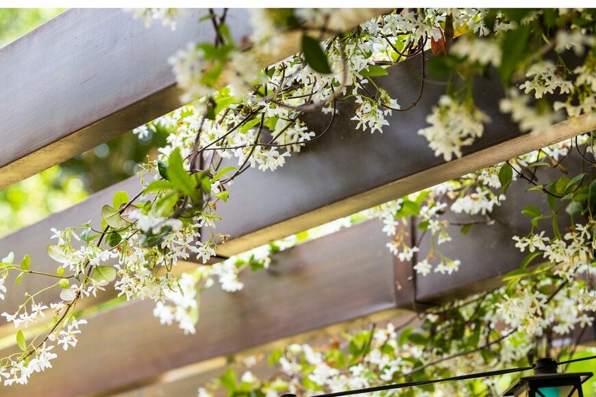 ablokhin/istockphoto.com