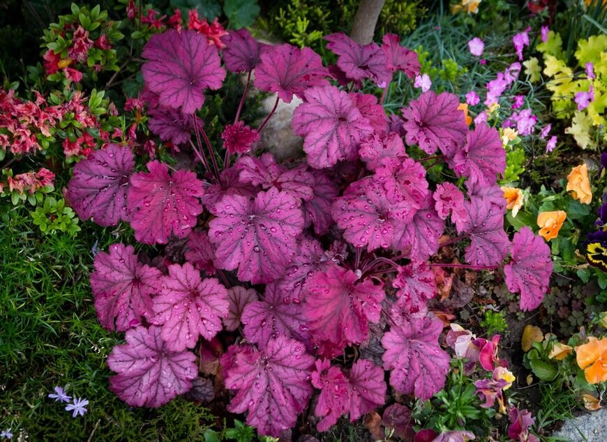 Poliuszko/istockphoto.com