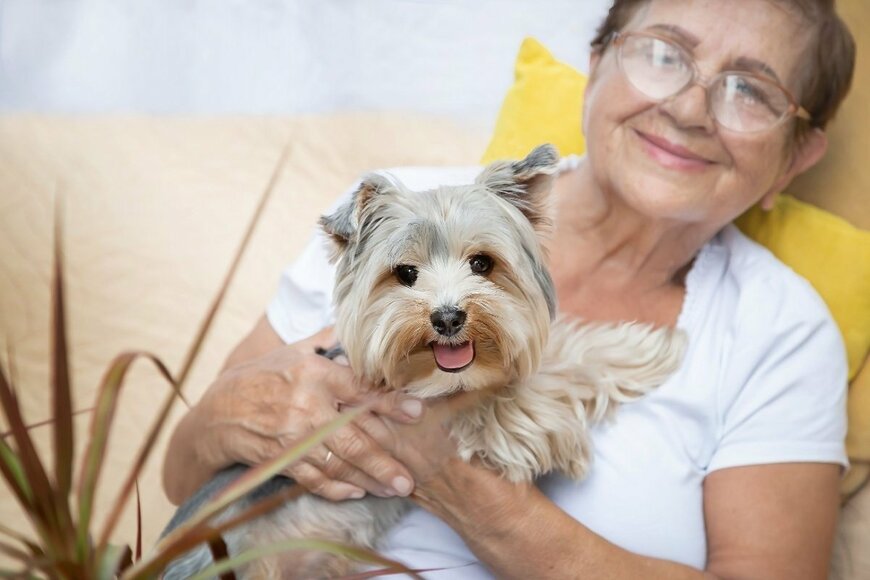MarKord/shutterstock.com