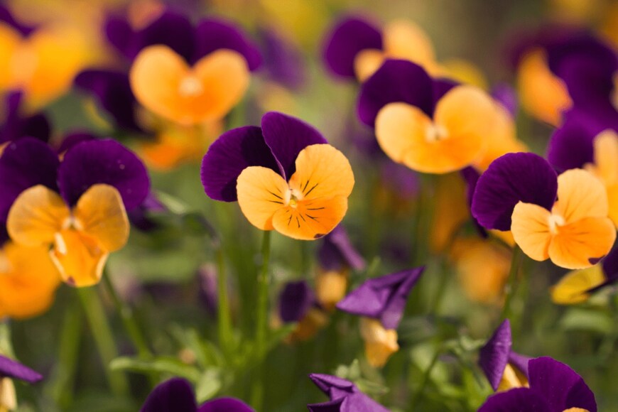 isww/istockphoto.com