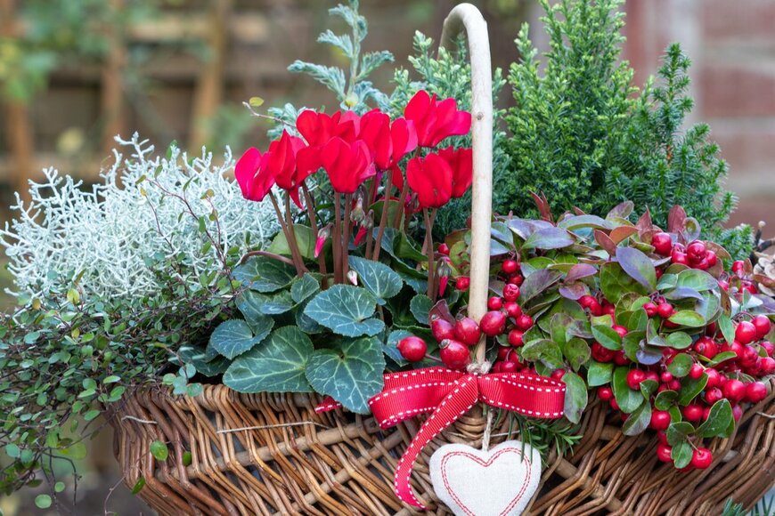 Natalia Greeske/istockphoto.com