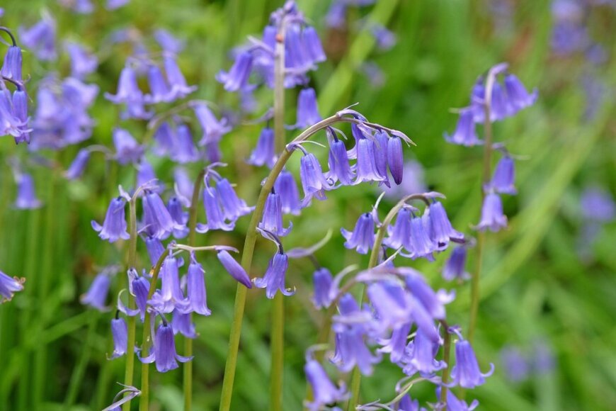 Alex Manders/shutterstock.com