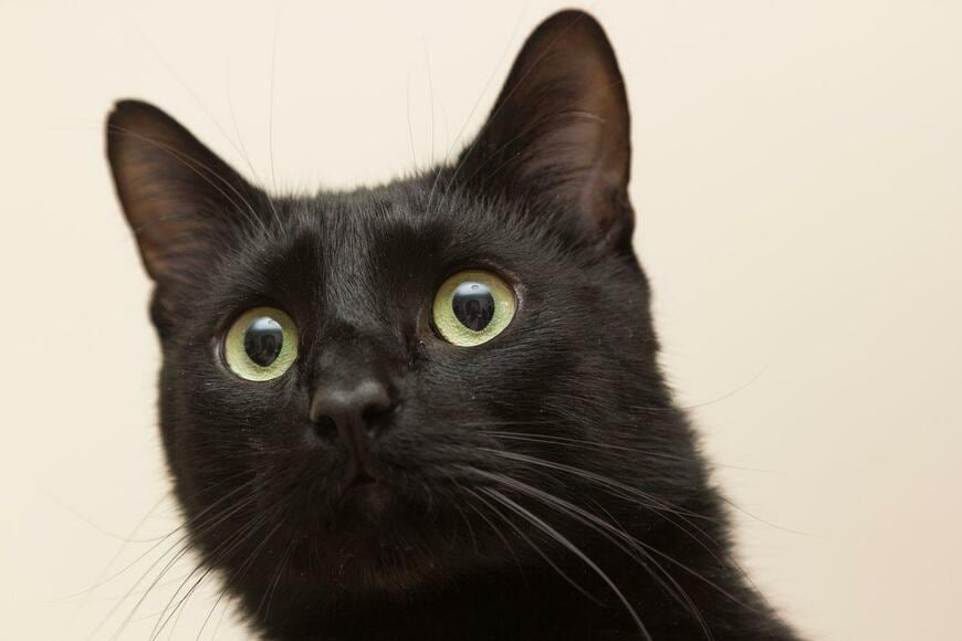 vnazarets/istockphoto.com