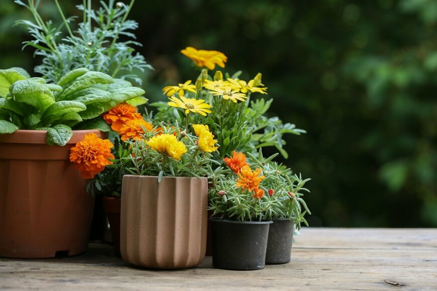 Rusha/shutterstock.com